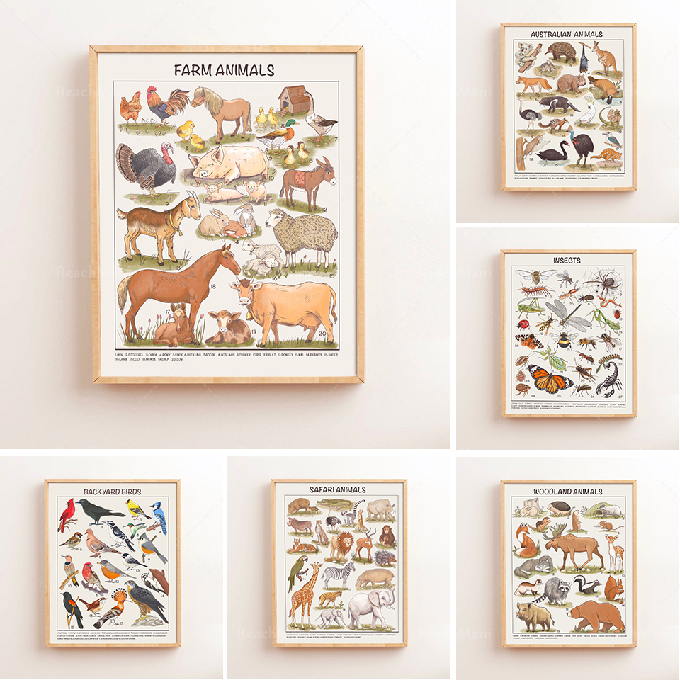 Kids Education Download - Safari Animals Educational Posters Nursery Downloadable