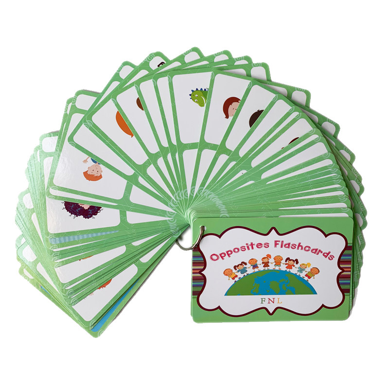 The 100 Groups Opposites Flash - Kid Educational ulasan dan harga