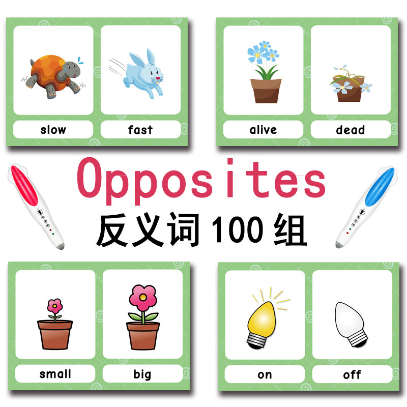 The 100 Groups Opposites Flash - Kid Educational ulasan dan harga