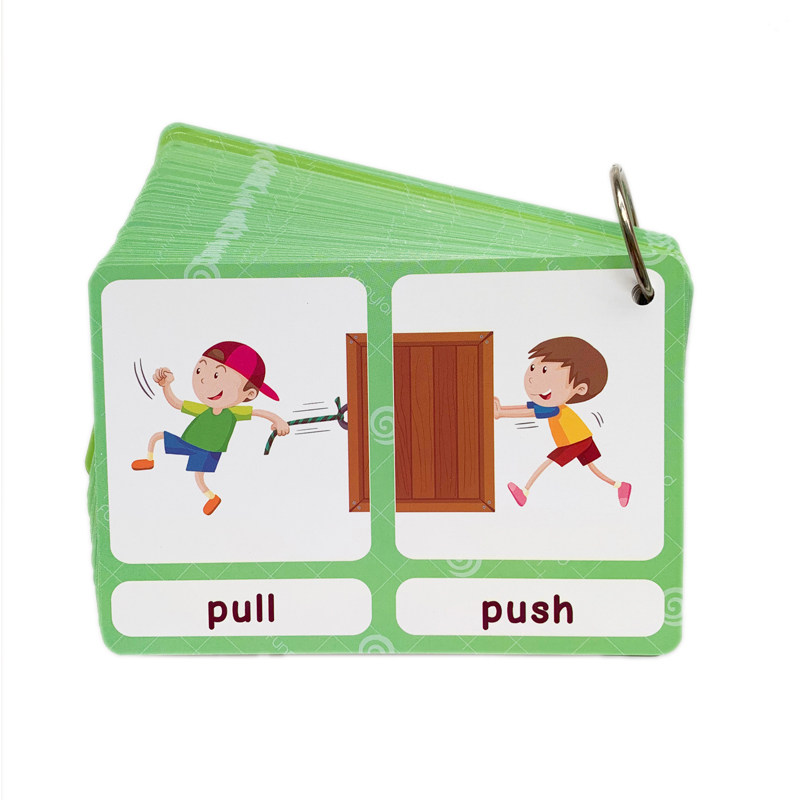 The 100 Groups Opposites Flash - Kid Educational ulasan dan harga