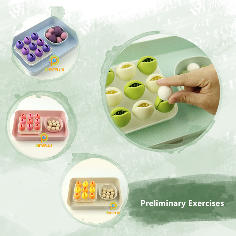Montessori Educational Toys Ba - Kids Educational Game 3 ulasan dan harga