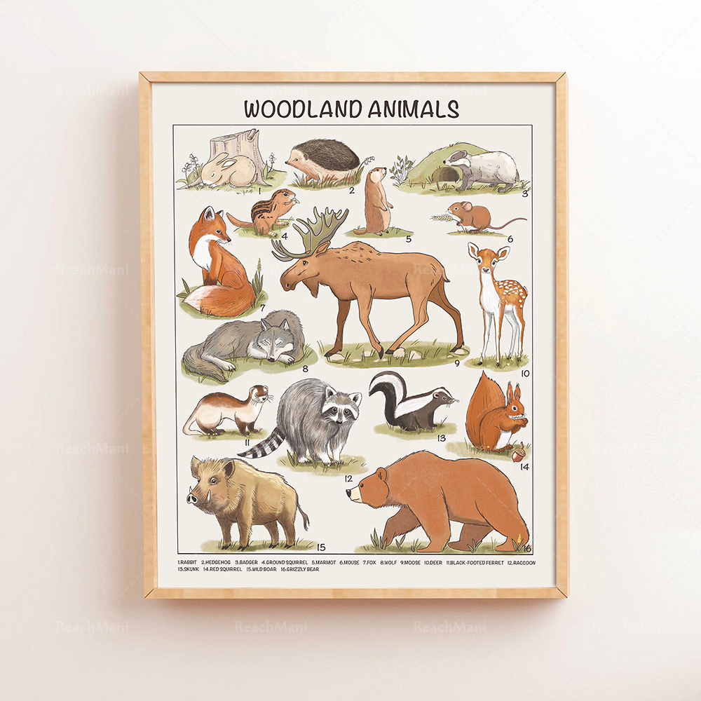 Safari Animals Educational Pos - Kids Education Download ulasan dan harga
