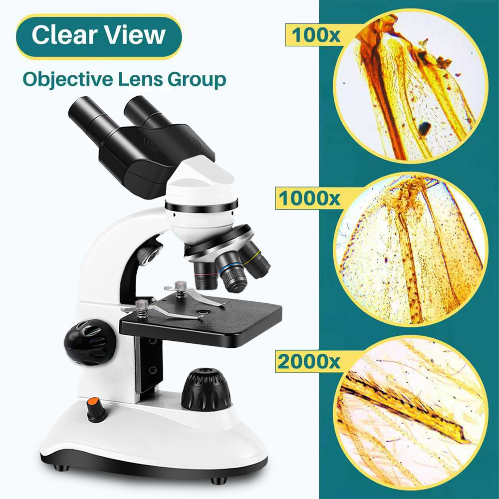 Binocular Microscope, High Def - Education Kids Definition ulasan dan harga