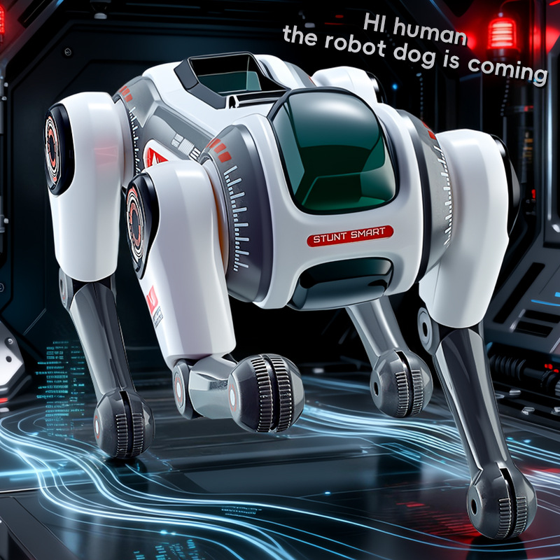 Stunt  Remote Control Robot Do - Kid Educational ulasan dan harga